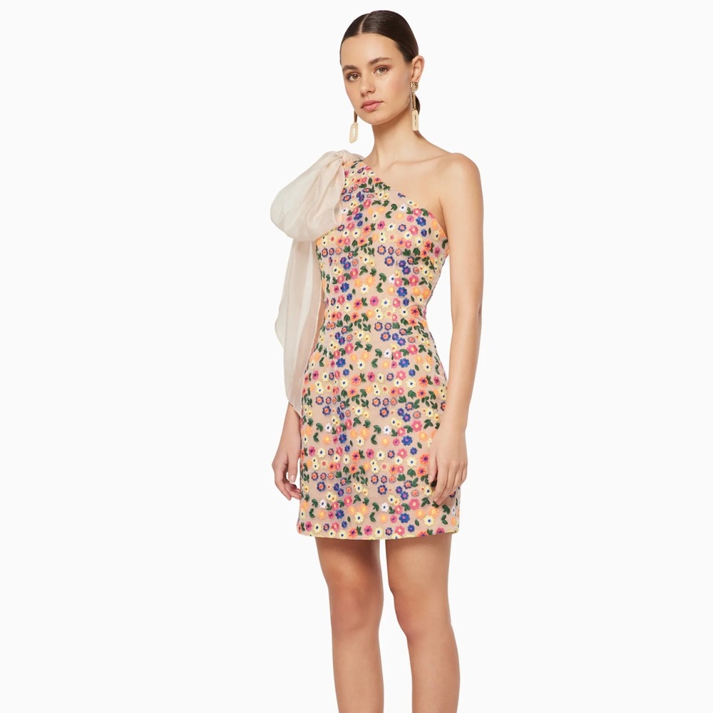 NWT - ELLIATT EXISTENCE DRESS -SMALL